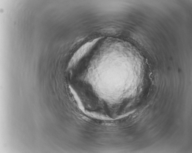 X0000059851297200511111800