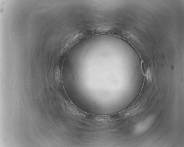 X0000059851299200511111800