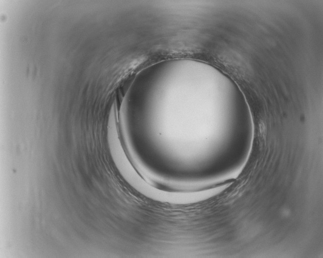 X0000059851300200511111800