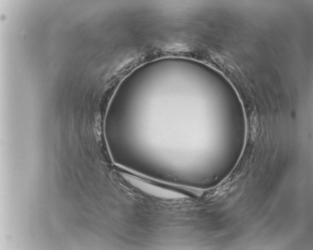 X0000059851301200511111800