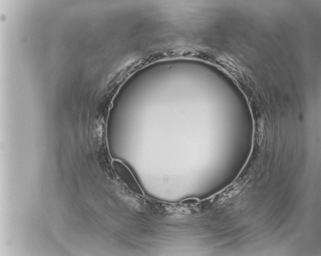 X0000059851302200511111800