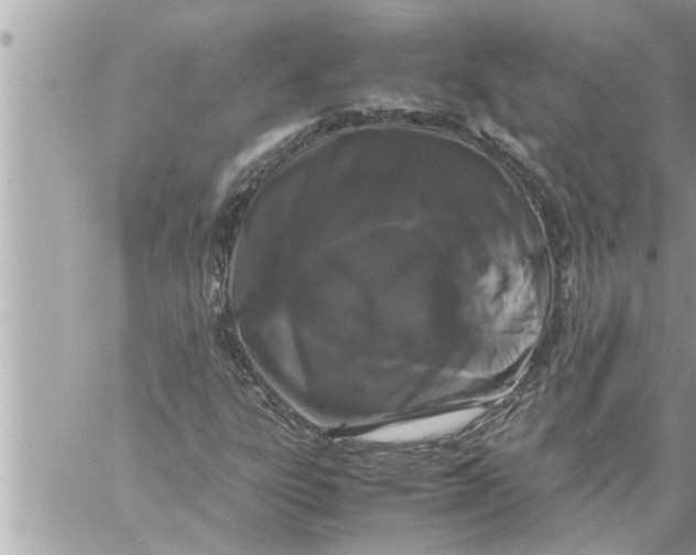 X0000059851303200511111800