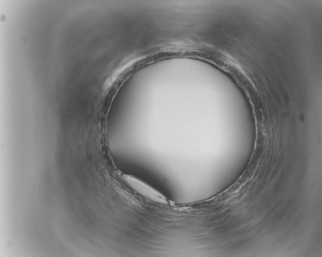 X0000059851304200511111800