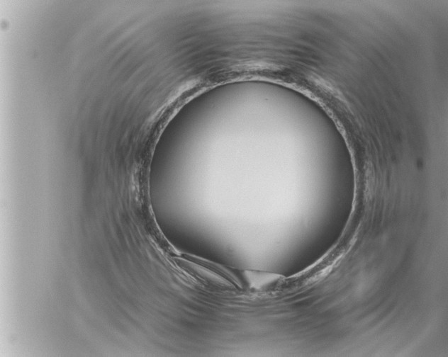 X0000059851305200511111800