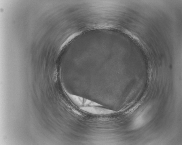 X0000059851306200511111800