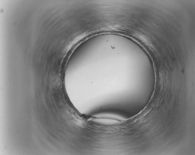 X0000059851308200511111800