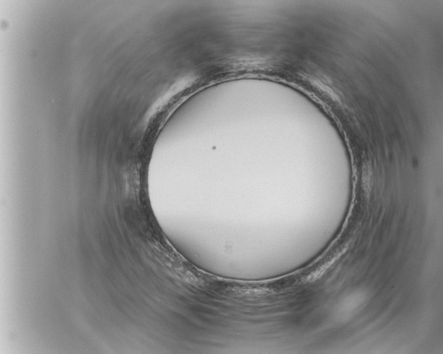 X0000059851309200511111800