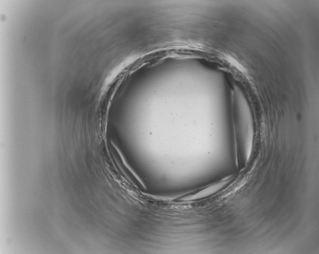 X0000059851310200511111800