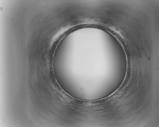 X0000059851311200511111801