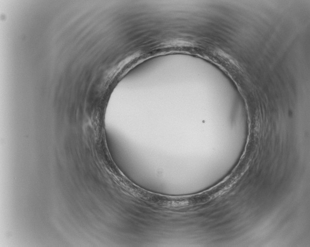 X0000059851313200511111801