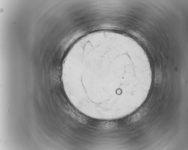 X0000059851314200511111801