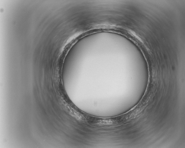 X0000059851315200511111801