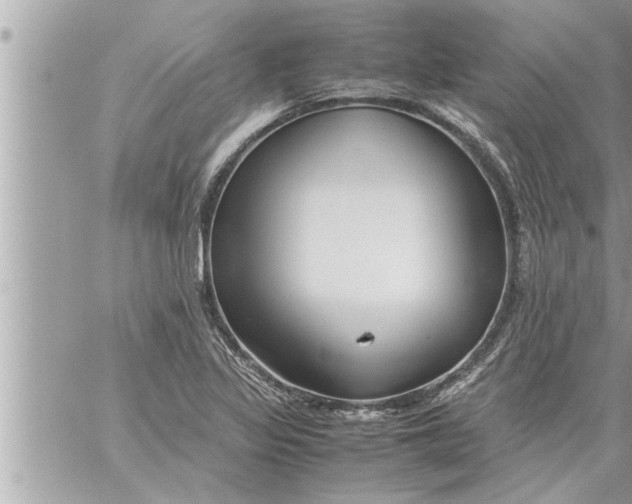 X0000059851317200511111801