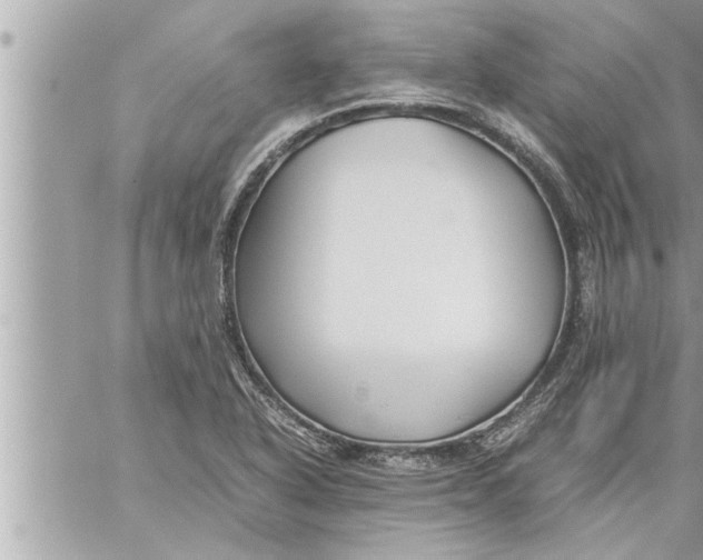 X0000059851318200511111801