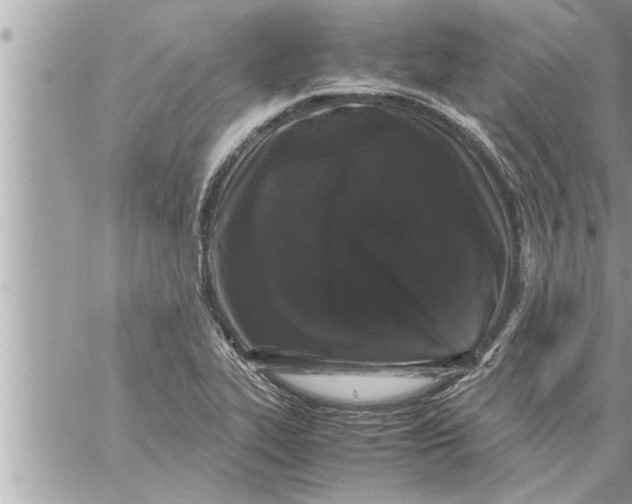 X0000059851319200511111801