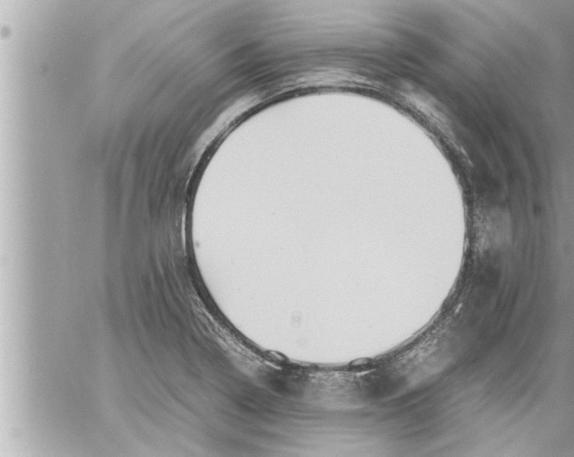 X0000059851322200511111801