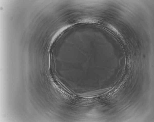 X0000059851323200511111801