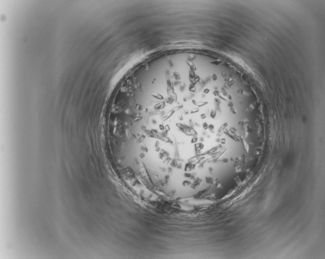 X0000059851325200511111801