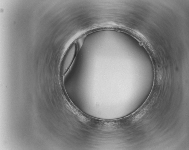 X0000059851326200511111801