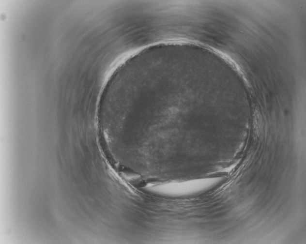 X0000059851327200511111801