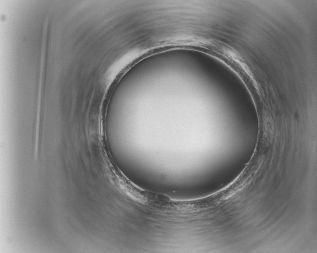 X0000059851328200511111801