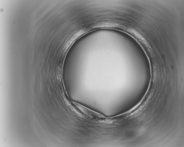 X0000059851329200511111801