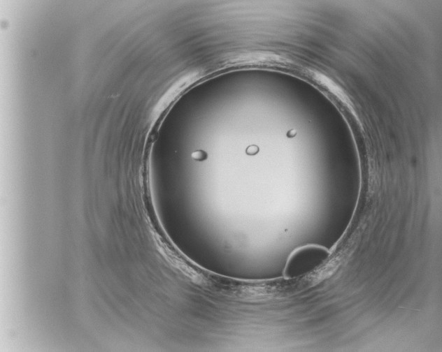 X0000059851330200511111801