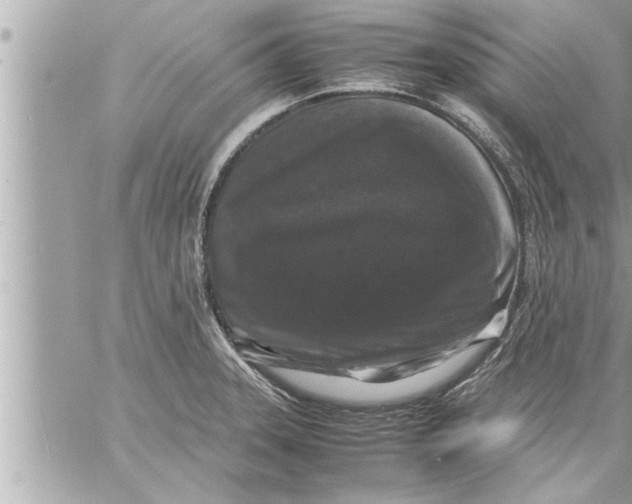 X0000059851331200511111801