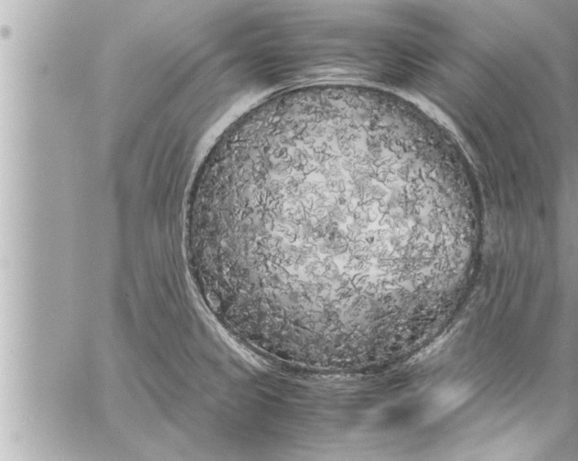 X0000059851333200511111801