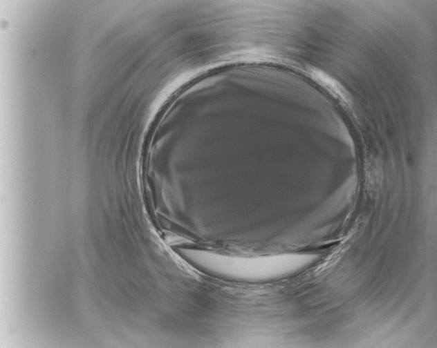 X0000059851334200511111801