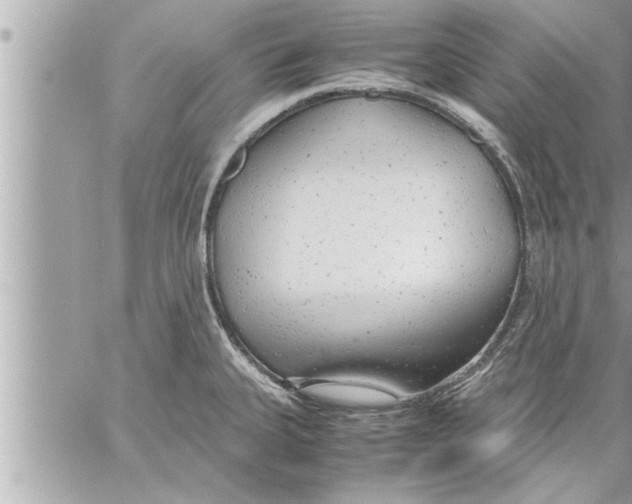 X0000059851335200511111801