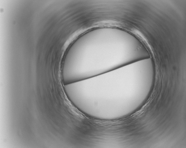 X0000059851336200511111801