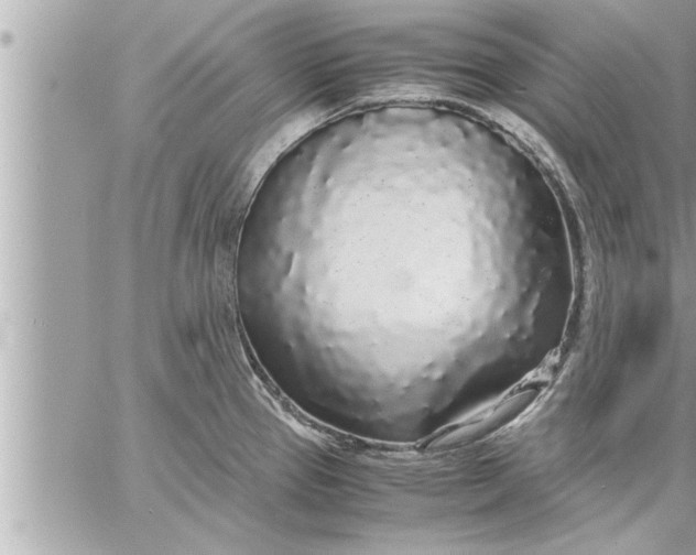 X0000059851337200511111801