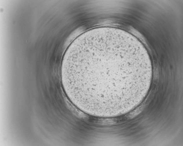 X0000059851338200511111801