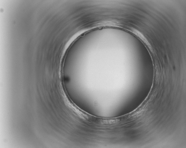 X0000059851339200511111801