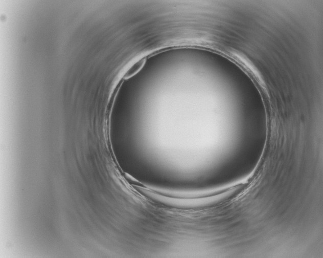 X0000059851340200511111801