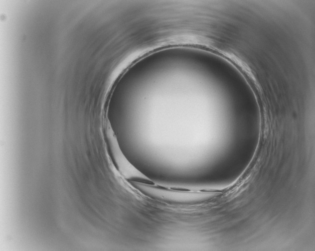 X0000059851342200511111801