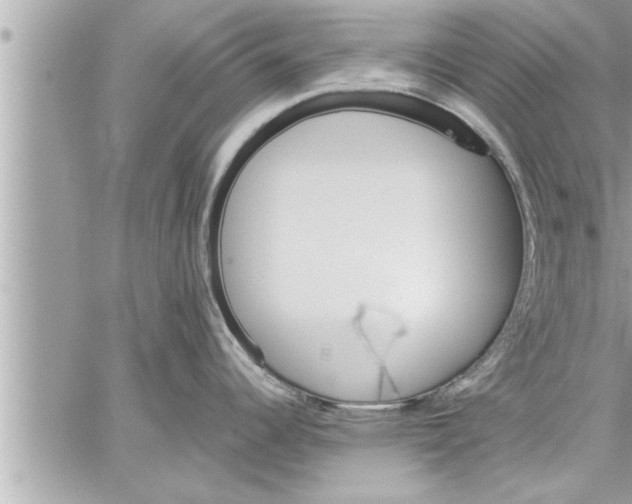 X0000059851344200511111801