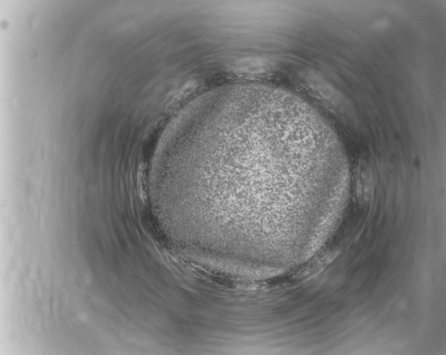 X0000059851346200511111800