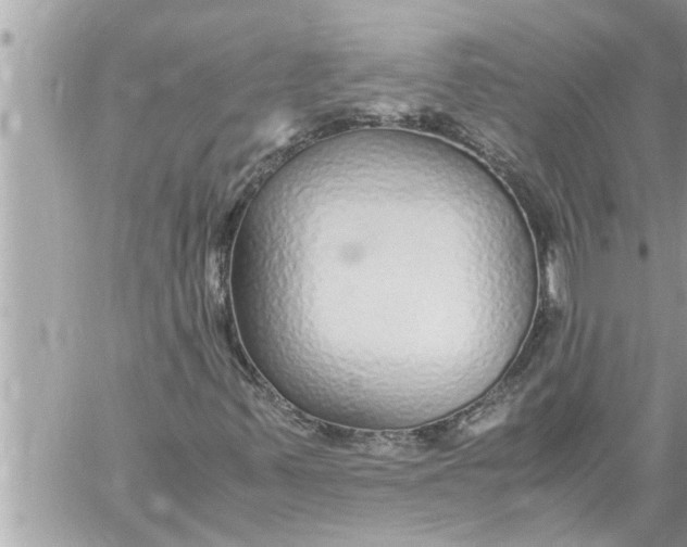 X0000059851347200511111800