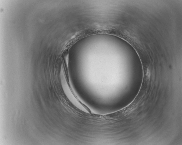 X0000059851348200511111800