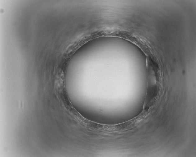 X0000059851349200511111800