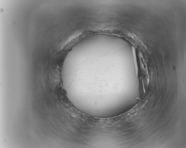 X0000059851350200511111800