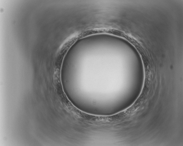 X0000059851351200511111800