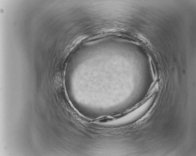 X0000059851353200511111800