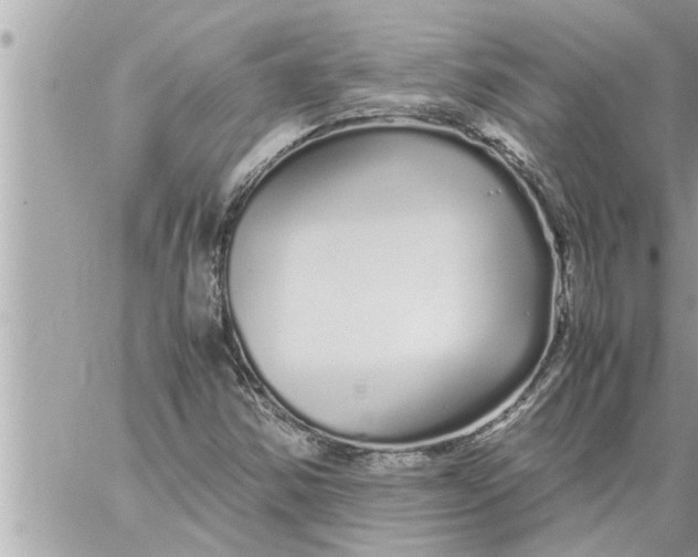 X0000059851354200511111800