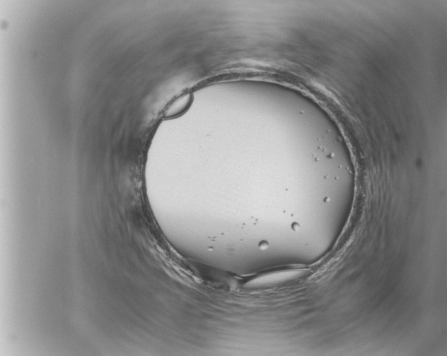 X0000059851355200511111800