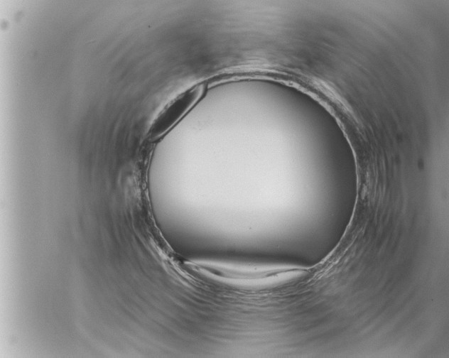 X0000059851356200511111800