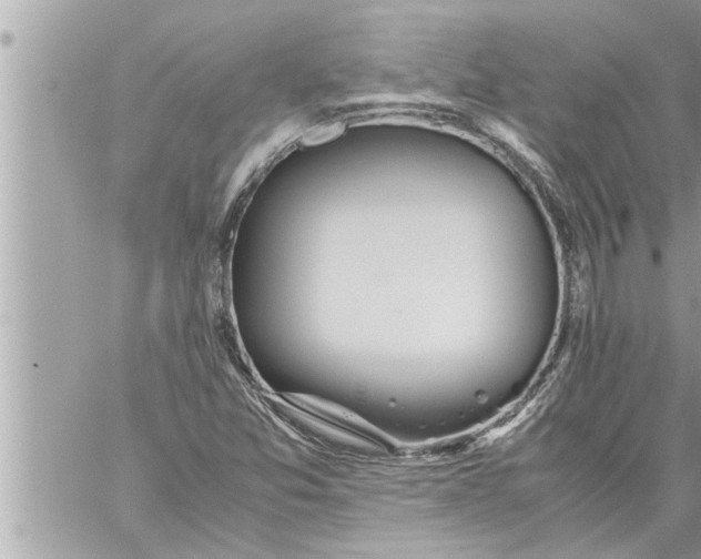 X0000059851357200511111800