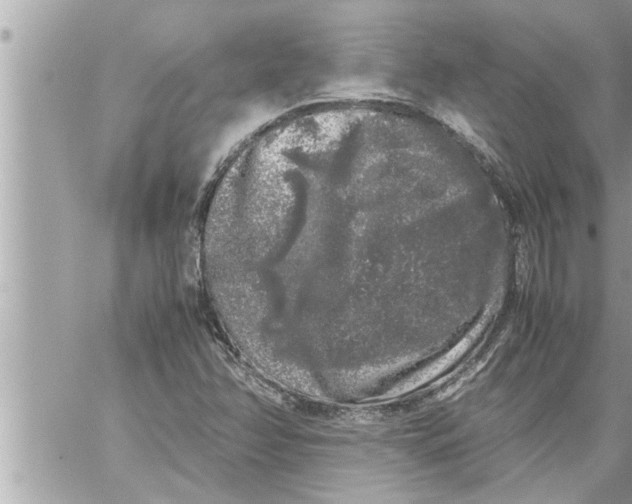 X0000059851358200511111800